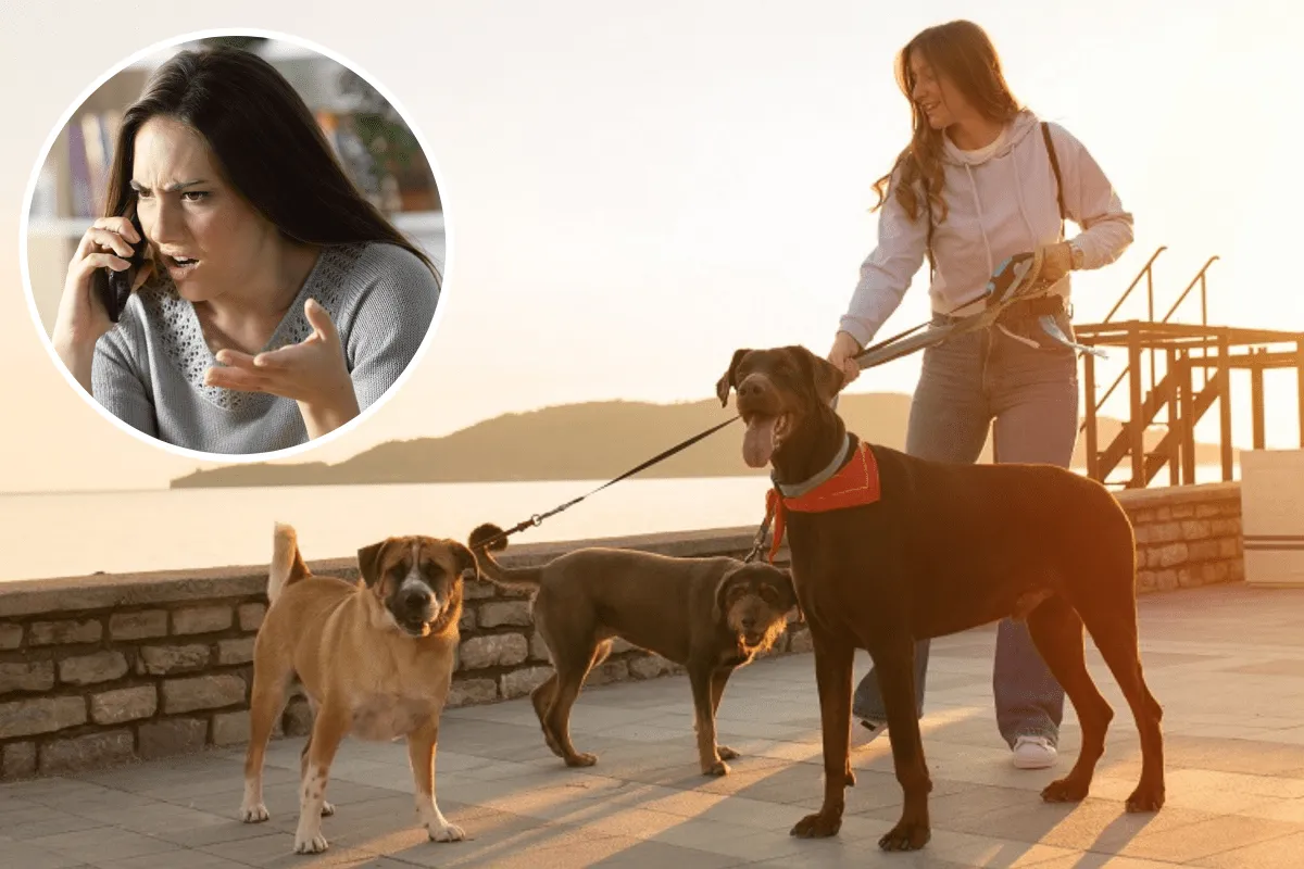 “무임승차” 논란, 반려동물 케어 시장의 숨겨진 진실