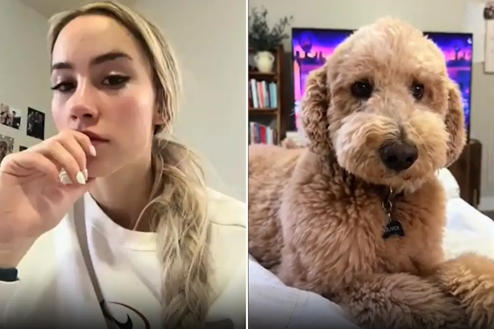 강아지가 주인의 슬픔을 감지하는 모습