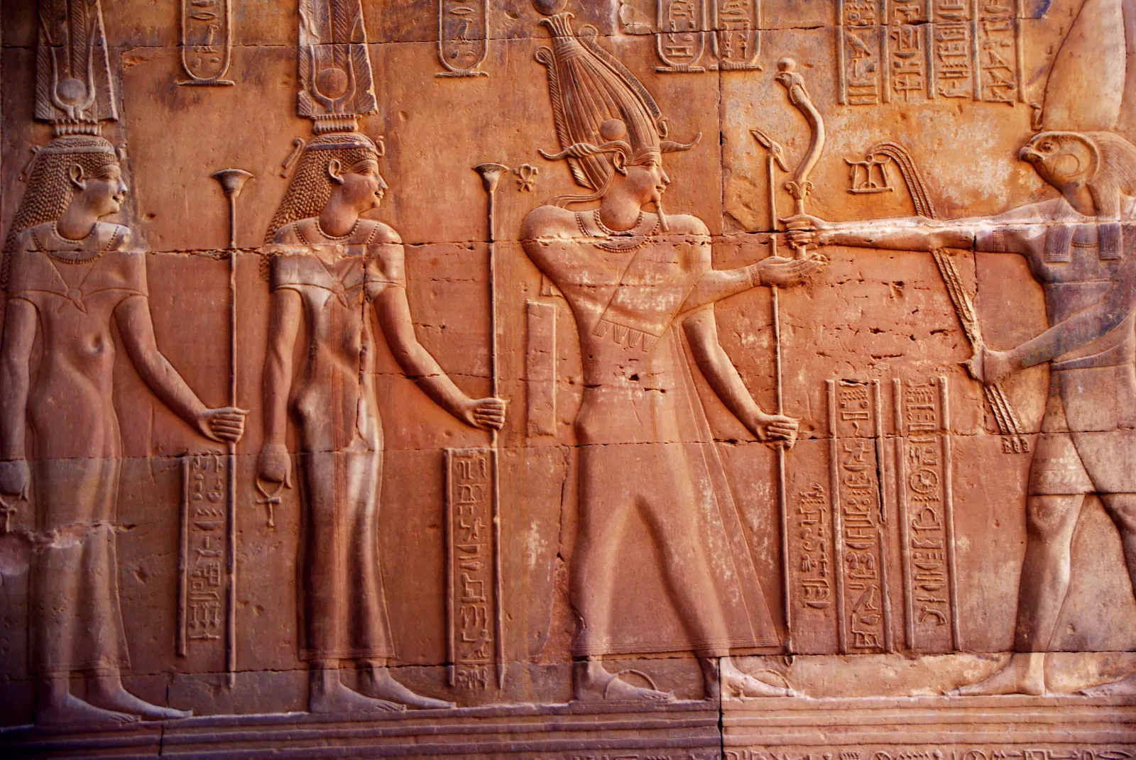 고양이의 9번의 삶에 대한 설명