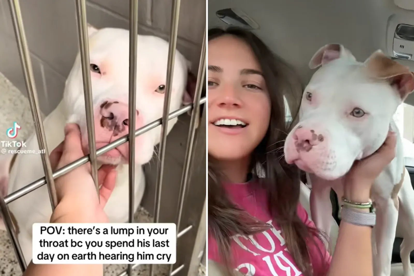 세부, 브리엘 글라묵과 함께 켄들 안에서