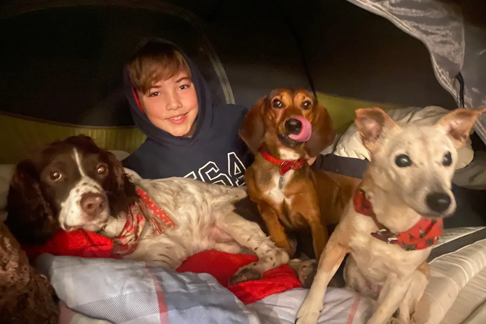 13세 소녀가 구조견을 위해 13,000달러 모금