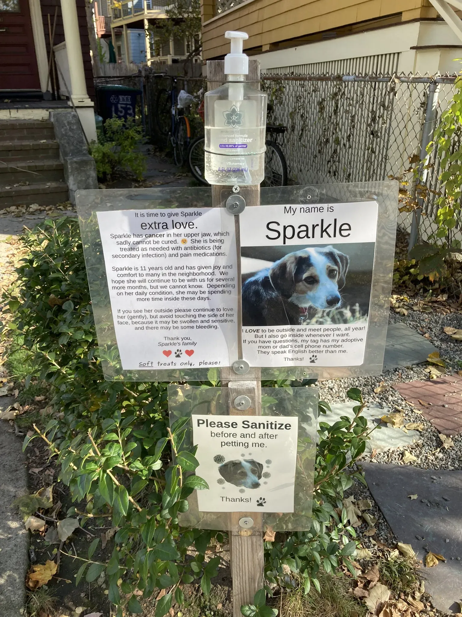 Sparkle 강아지 옆에 놓인 표지판