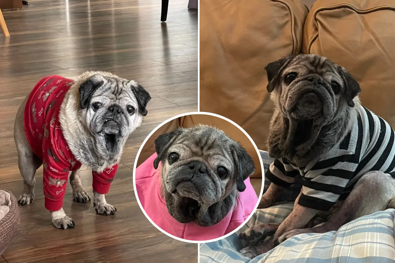 14살 뭉크스 - ‘새로운 면종’