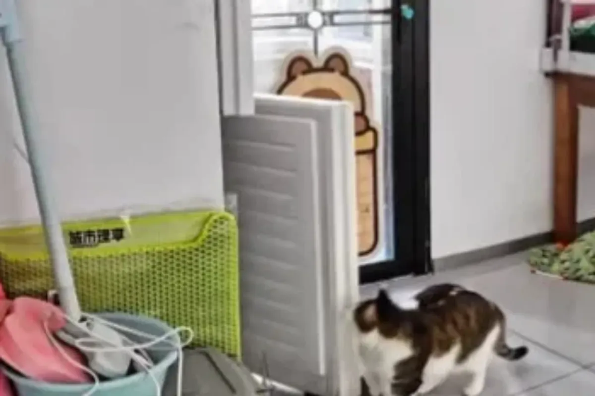 “나만 빼고 다 아는 줄?” 반려동물, 에너지 낭비의 숨은 주범