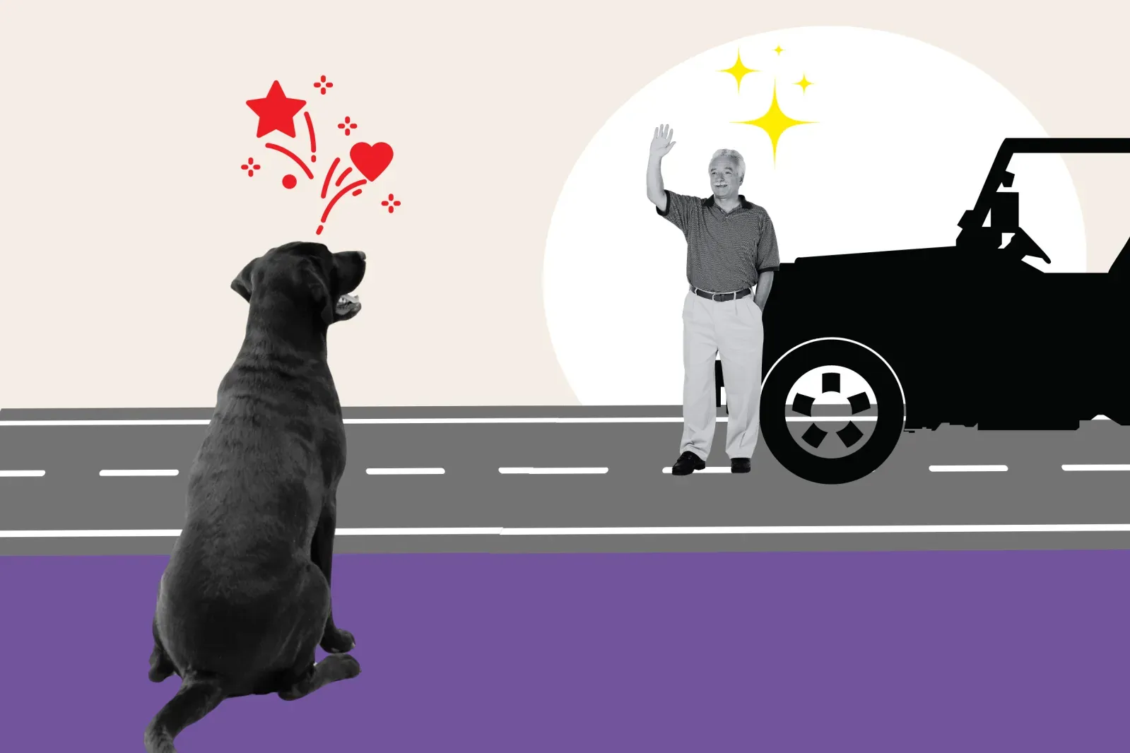 잠자리를 기다리는 강아지