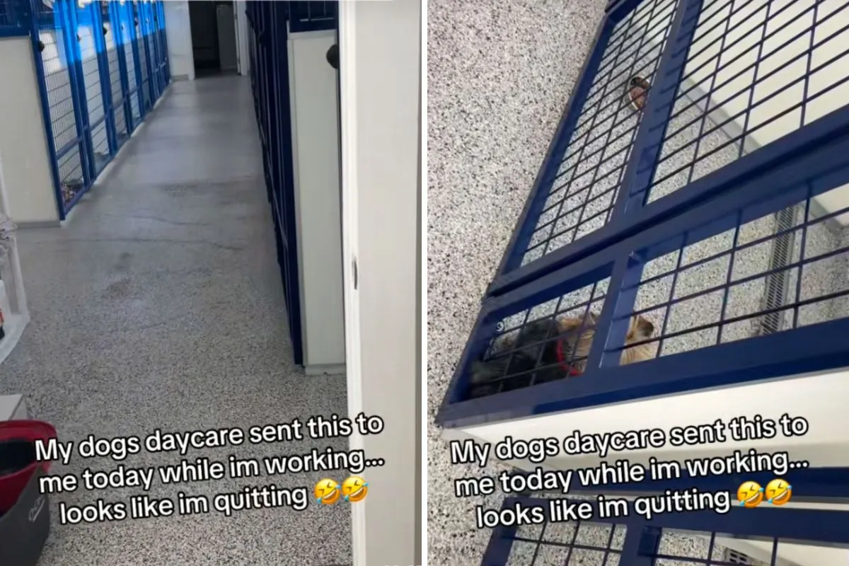 “나는 이제 그만둬야지”… 말 없는 외침을 멈출 수 없는 요키치