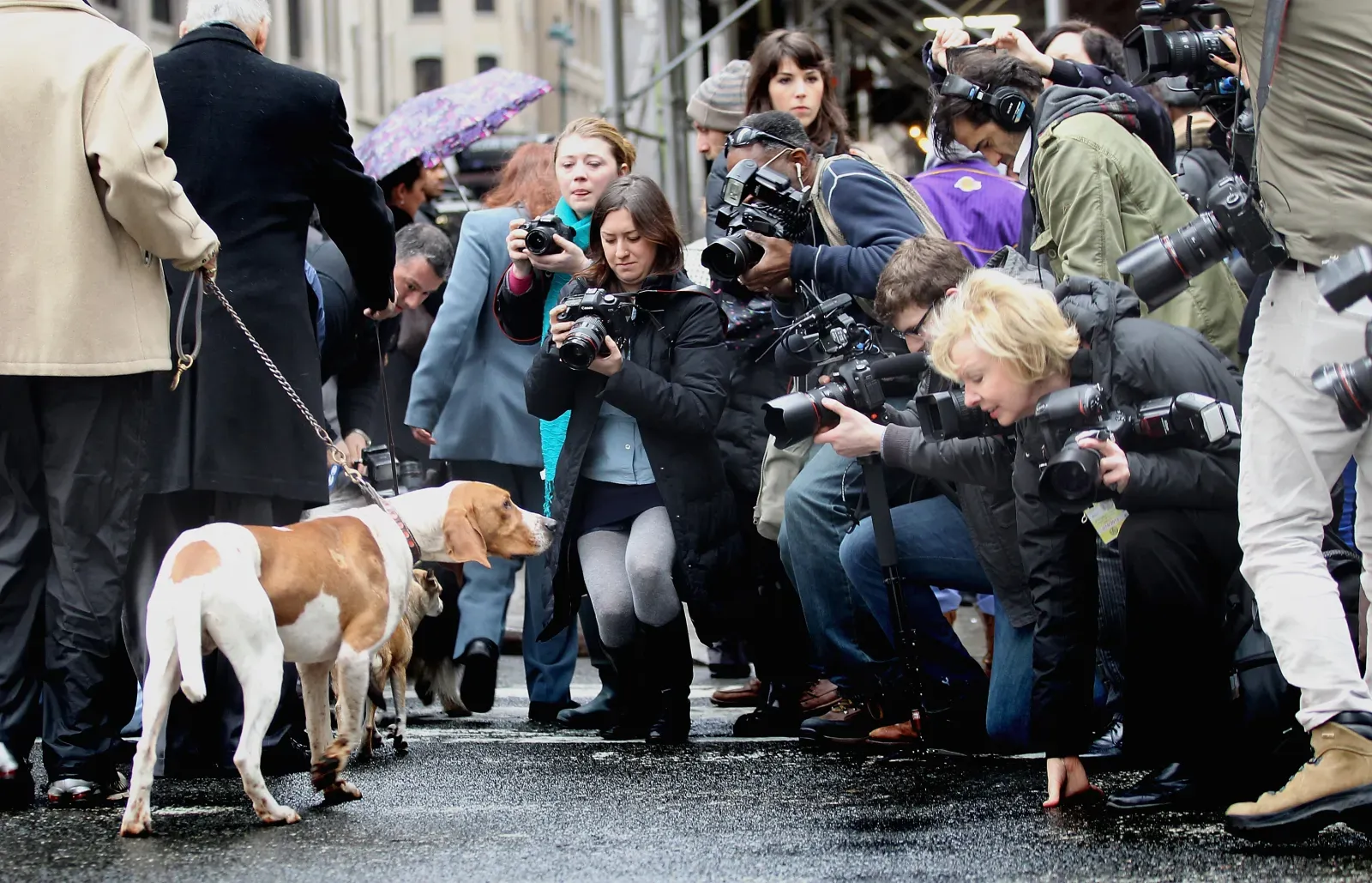 미국 잉글리시 쿠농