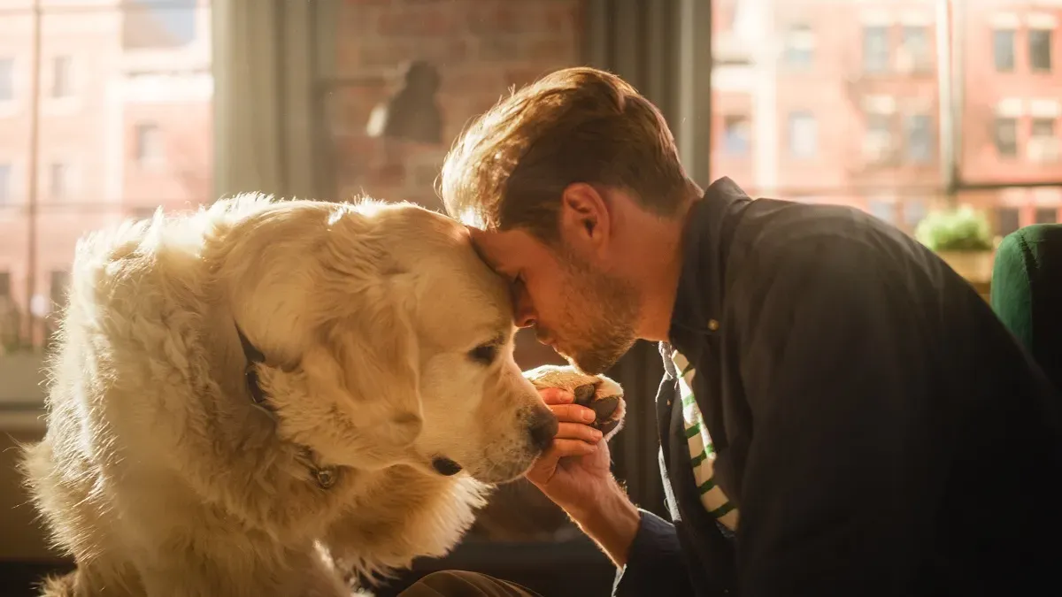 골든 리트리버를 가진 남자