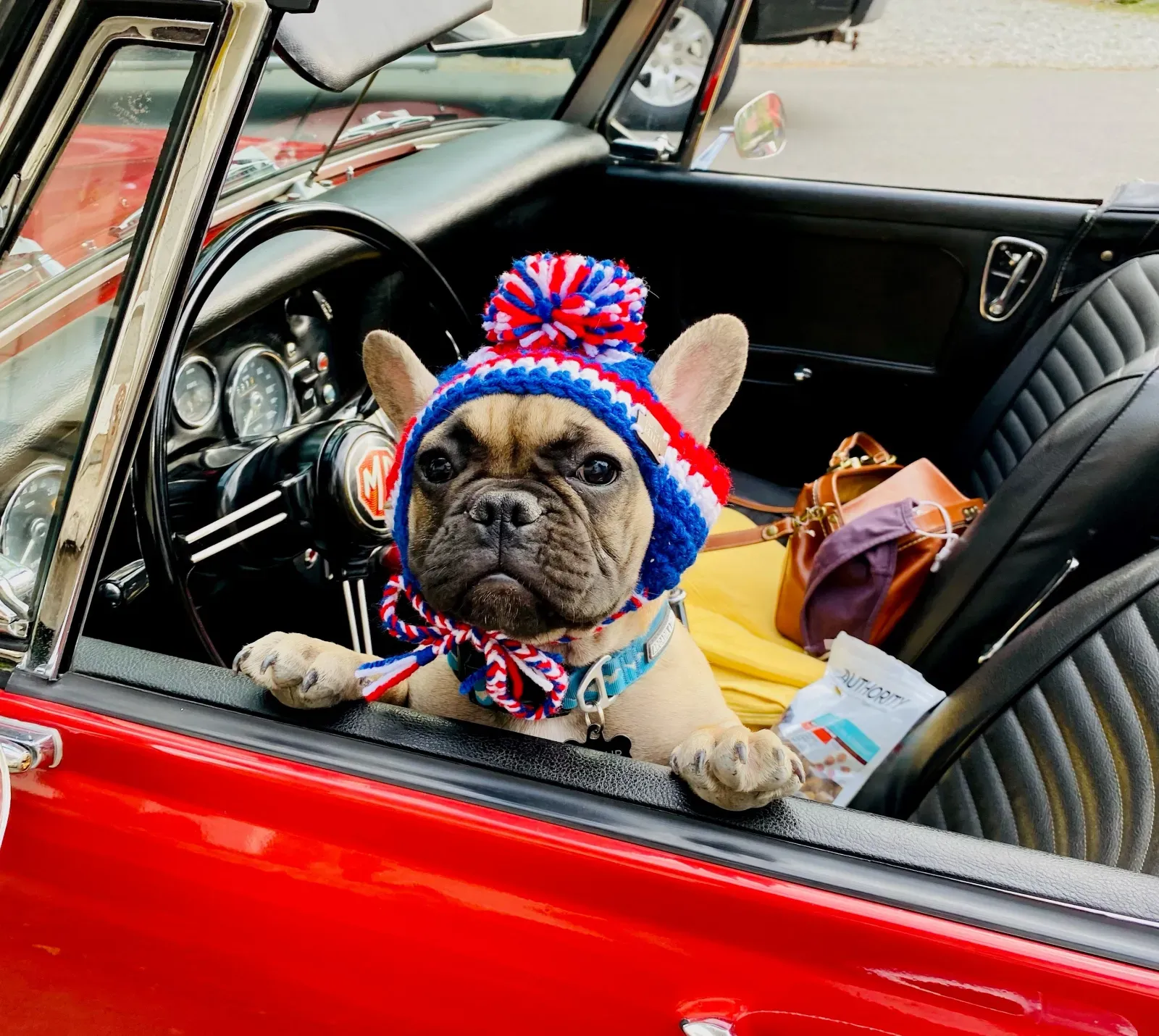 켄터키 시장 선거