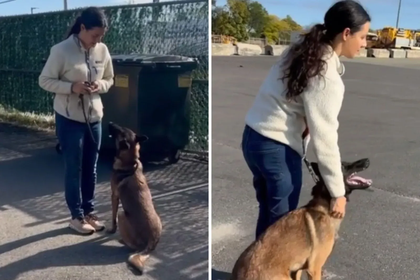 보호견 행동 전문가와 개