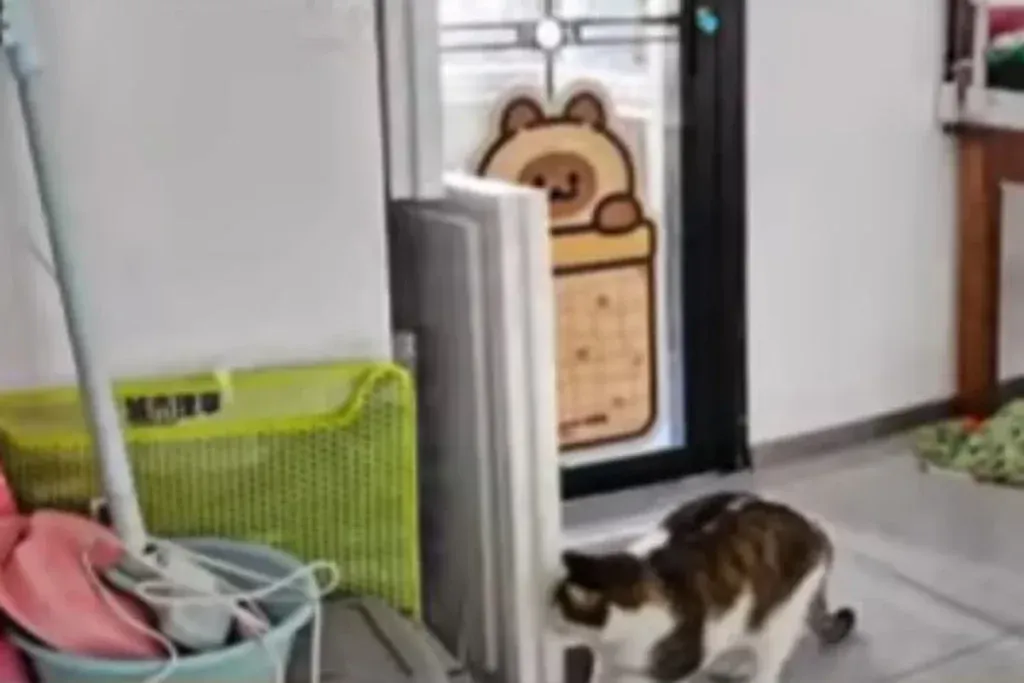 "나만 빼고 다 아는 줄?" 문구와 함께 에너지 낭비하는 반려동물 이미지