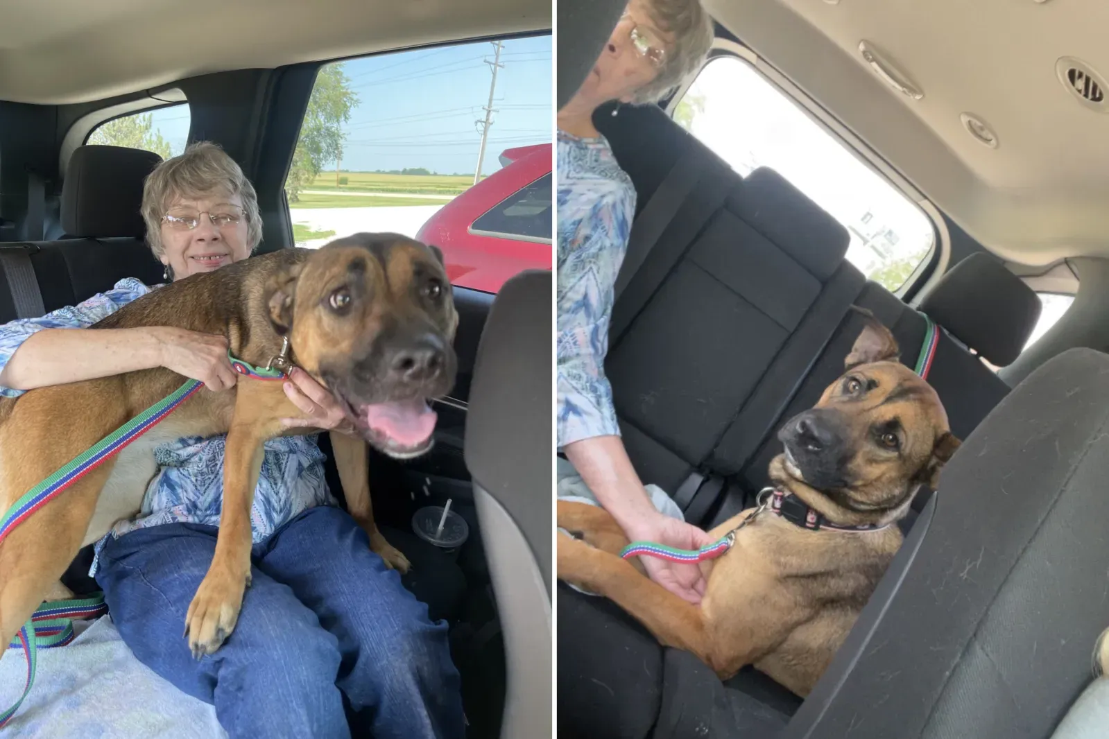 루나와 메리루가 집으로 돌아가는 모습