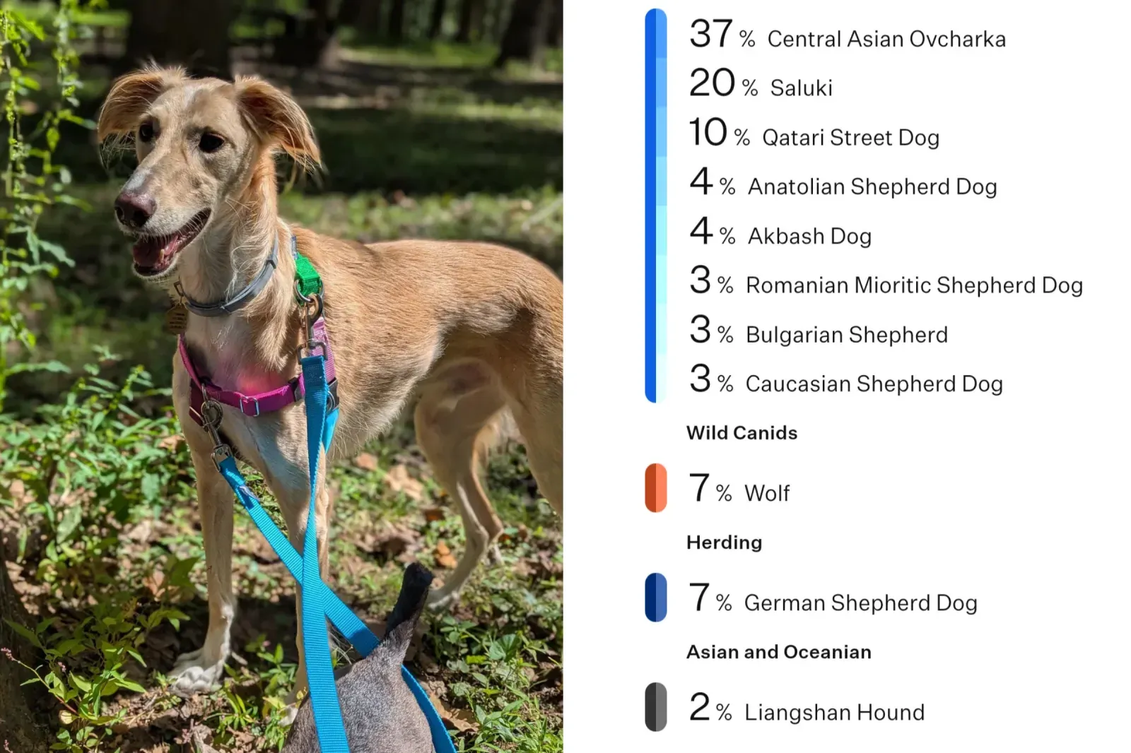 놀라운 DNA 검사 결과
