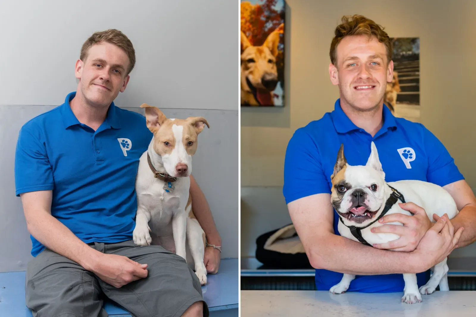 전문가 의견에 따른 강아지 행복 극대화 방법