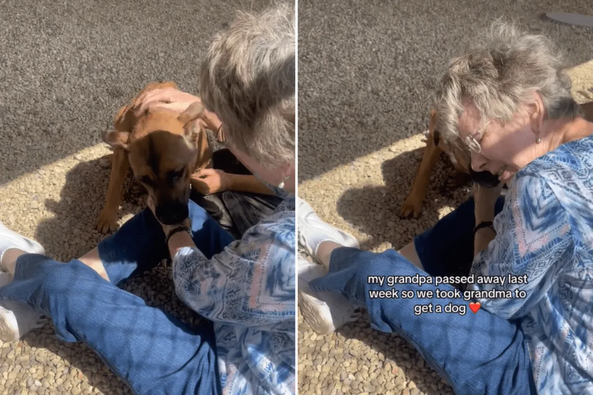 58년의 사랑을 뒤로 한 할머니, 구조견 ‘루나’와 함께 새로운 시작