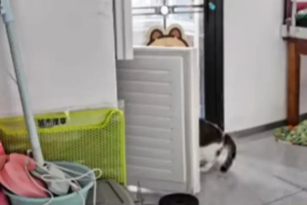 "나만 빼고 다 아는 줄?" 문구와 함께 에너지 낭비하는 반려동물 이미지