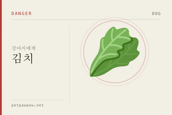 강아지 김치 표본 도판