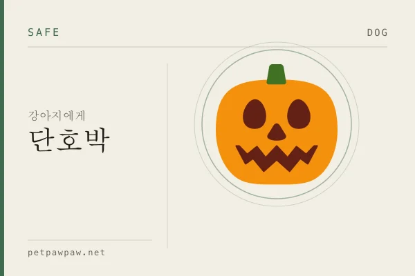 강아지 단호박 표본 도판