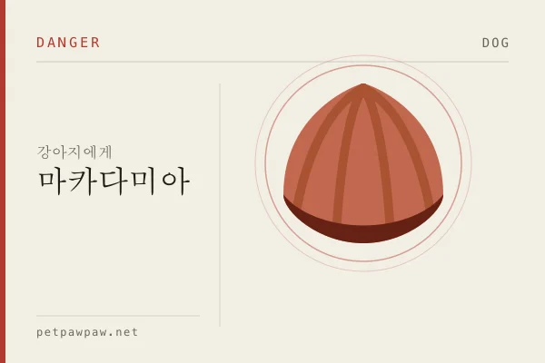 강아지 마카다미아 표본 도판