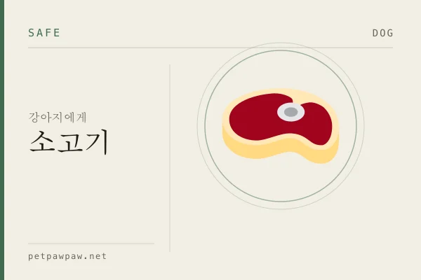 강아지 소고기 표본 도판
