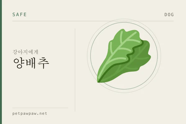 강아지 양배추 표본 도판